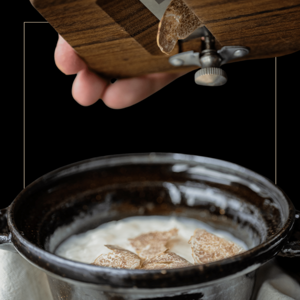 Ljetni crni svježi tartuf - Karlić tartufi truffles